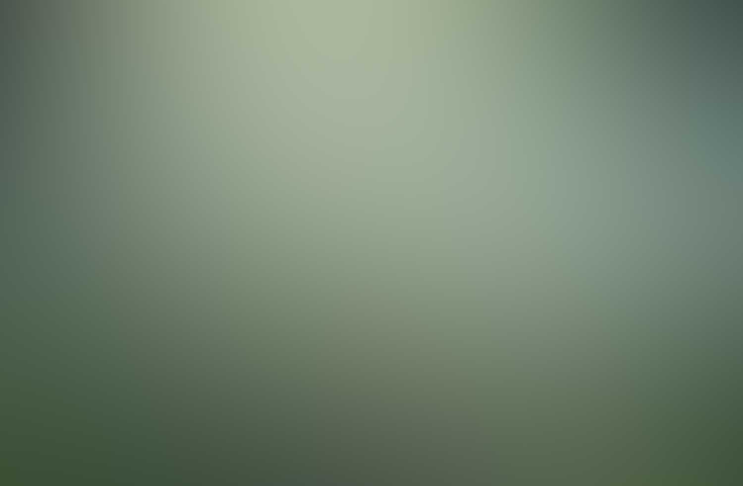 Licenciatura en Matemáticas